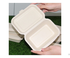 Biodegradable 450ml Bagasse Sugarcane Disposable Compostable Food Container Clamshell Lunch Box