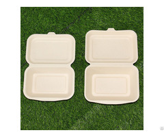 Customizable 600ml Greaseproof Microwavable Takeout Biodegradable Bagasse Disposable Food Container
