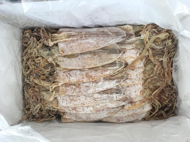 Dried And Frozen Cuttlefish From Vietnam