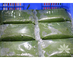 100% Fresh Cassava Leaf