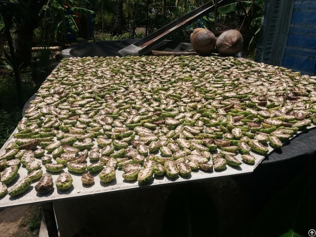 Dried Noni Fruit