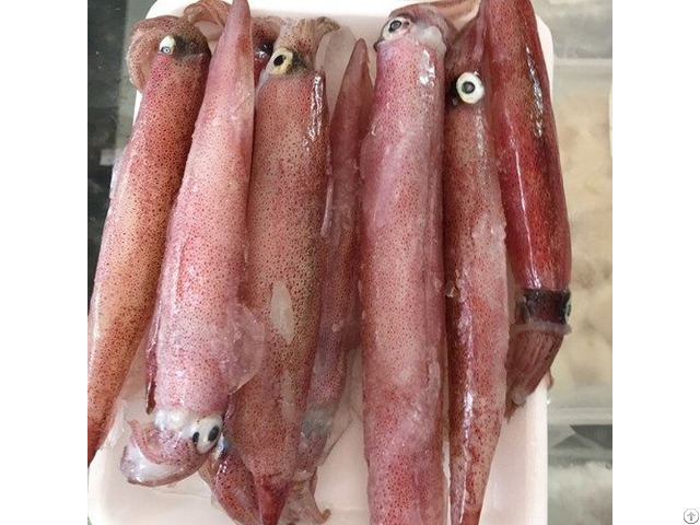 Hight Quality Frozen Salted Egg Squid