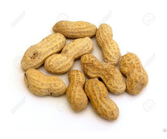 Natural Raw Peanuts Nutrition