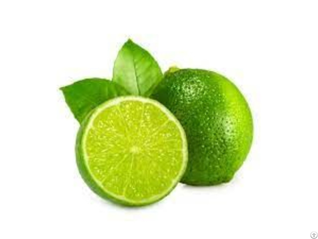 Medium Vietnam Fresh Seedless Lime