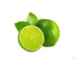 Medium Vietnam Fresh Seedless Lime