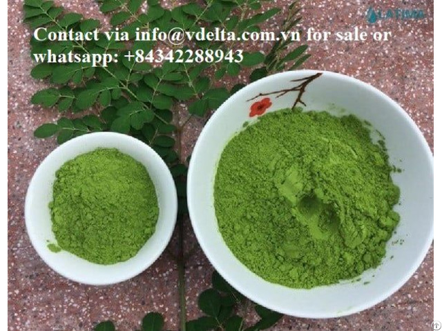 Vietnam Moringa Leaf Extract Powder