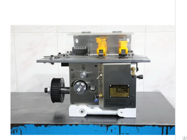 Stainless Steel High Speed Precision Gripper Feeder Machine