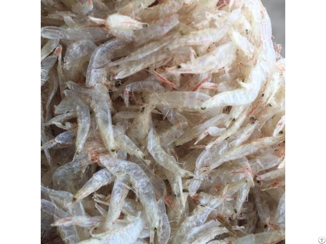 Dry Pet Food Dried Baby Shrimp Shell