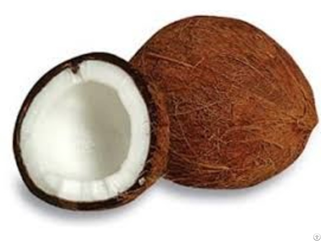 Semi Husked Coconut Vietnam With Best Price And High Quality