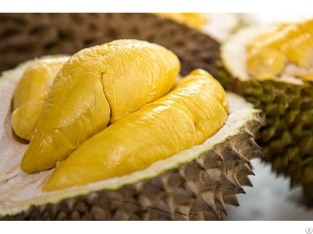 Vietnam Fresh Durian For Exporting With Standard Quality