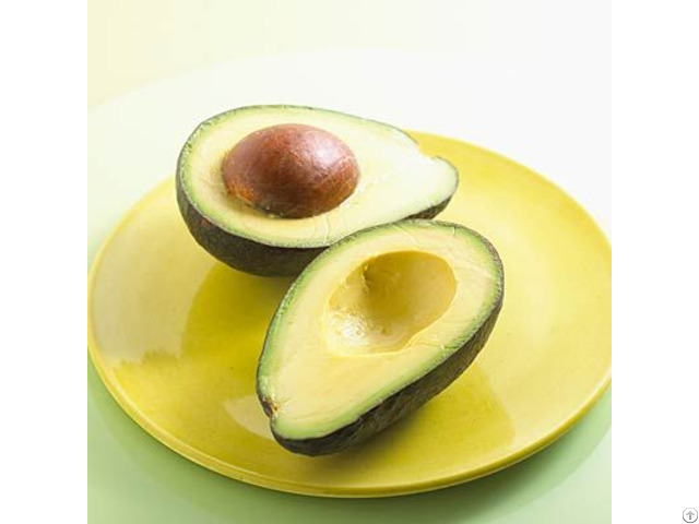 Fresh Avocados From Viet Nam