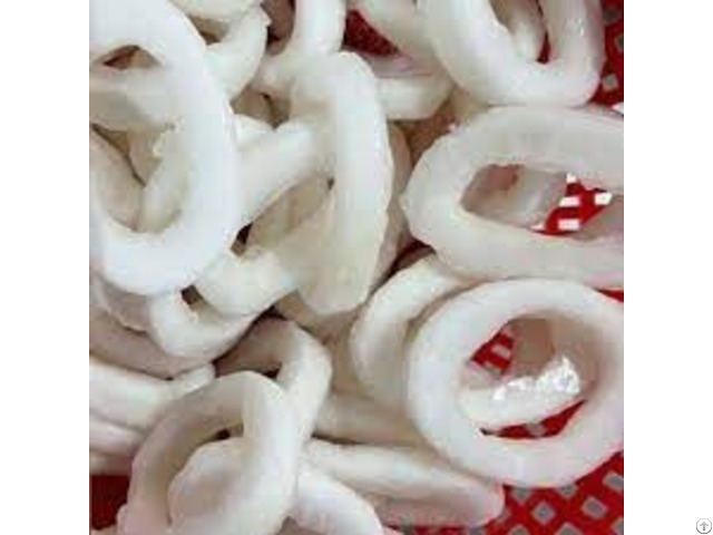 Frozen Sliced Fresh Squid Seafood