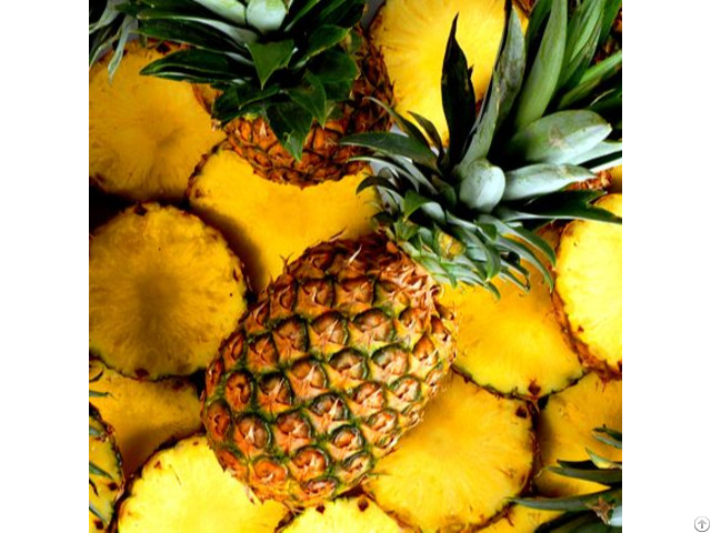 Vietnam Fresh Pineapple Cheap Price