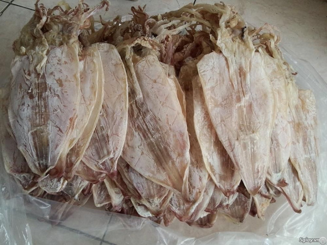 Dried Squid On September From Viet Nam