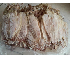 Dried Squid On September From Viet Nam