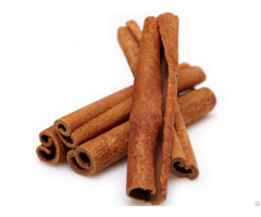 Vietnamese Dried Cinnamon Cassia Sticks For Essential Oil And Spices