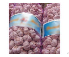 Leno Onion Garlic Plastic Packing Bags With Drawstring Hot Sale Mesh Sack