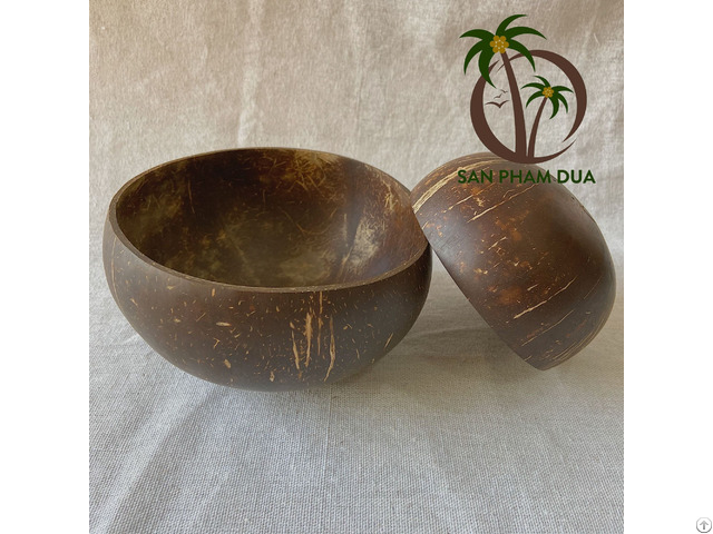 Coconut Shell Bowl