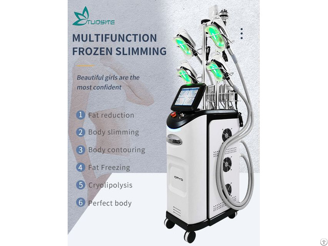 Cooling 4 Handles 360 Lipo Cryo Cryotherapy Cryolipolysys Machine