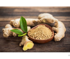 Ginger Powder Extract From Viet Nam