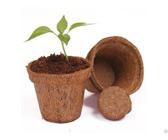 Coconut Fiber Pots