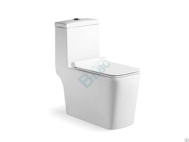 One Piece Square Toilet