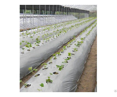 Agricultural Mulch Film Suppliers Solos Polymers
