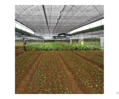 Agricultural Farm Greenhouse 50% 90% Shading Rate Sun Shade Net