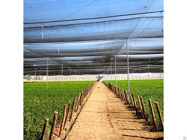 Hdpe 160 Gsm 2x50m Uv Cheap Price Factory Agriculture And Greenhouse Shade Net