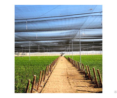 Hdpe 160 Gsm 2x50m Uv Cheap Price Factory Agriculture And Greenhouse Shade Net