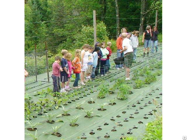 Woven Ground Cover Vegetable Garden Weed Barrier Plastic Control For Agriculture Farming