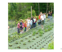 Woven Ground Cover Vegetable Garden Weed Barrier Plastic Control For Agriculture Farming