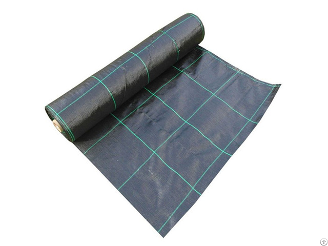 High Quality Plastic Pp Anti Grass Mat Weeds Control Landscape Fabric