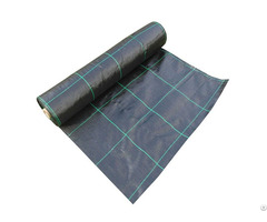 High Quality Plastic Pp Anti Grass Mat Weeds Control Landscape Fabric