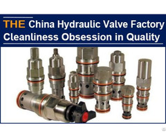 China Hydraulic Valve Factory With Cleanliness Obsession In Quality