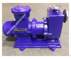 Alcohol Explosion Proof Self Priming Magnetic Pump