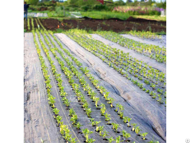 Agricultural Woven Weed Control Ground Mulch Landscape Fabric