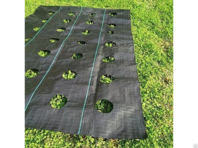 Farm Around Fruit Trees Pp Woven Weed Mat