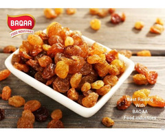 Best Raisins With Baqaa Food Industries