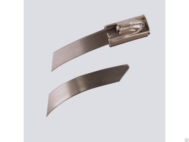 Stainless Steel Ties