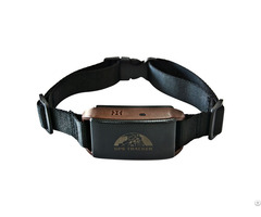 New Arrival High Quality Gps Pet Tracking Collar