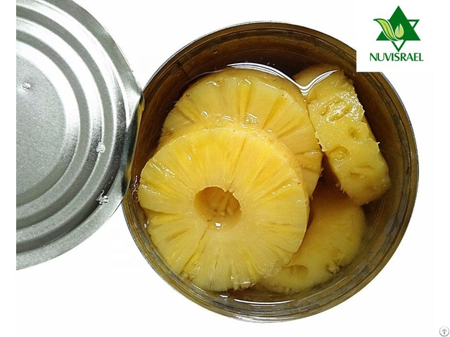 Pineapple Slices Canned Preserved