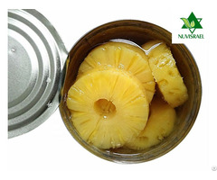 Pineapple Slices Canned Preserved