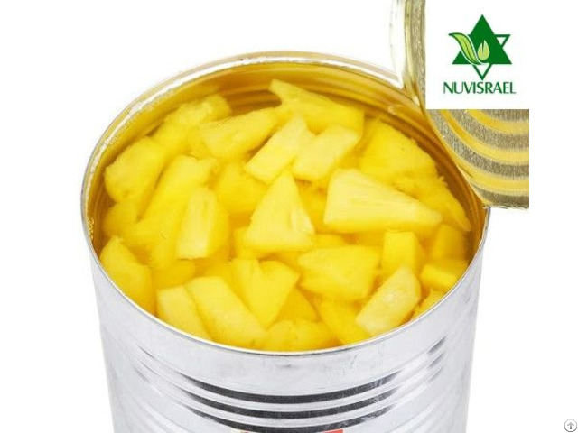 Pineapple Tidbits Canned Preserved