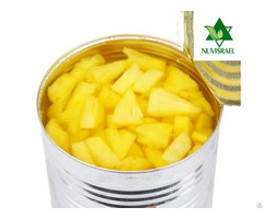 Pineapple Tidbits Canned Preserved