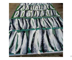 Pangasius Skin Dried Fish