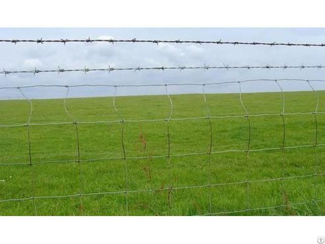 Perimeter Fence