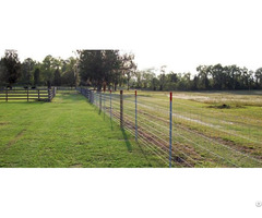 Dongxin Welded Wire Mesh Fence