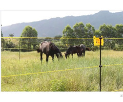 Electric Wire Fence