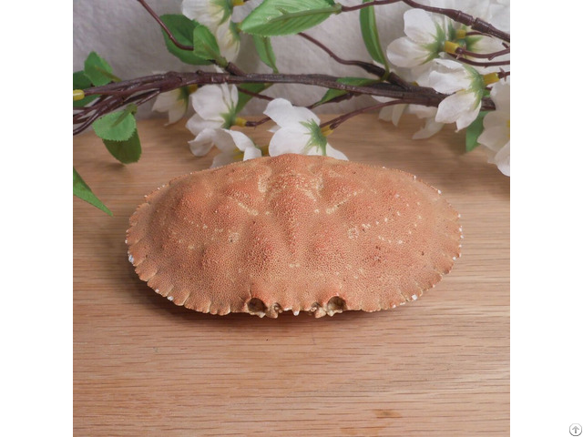 Dried Crab Shell For Stuffed Serving Dishes